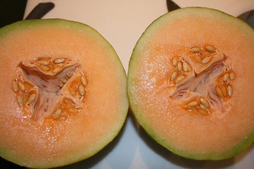 dueling-melons