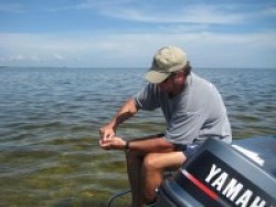 cleaning scallops
