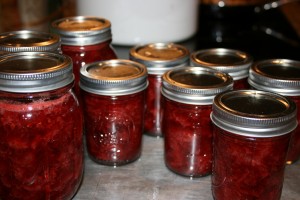 berry success