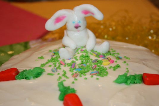 bunny closeup