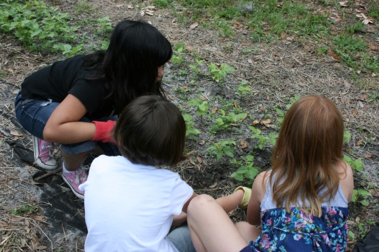 girl power in the garden