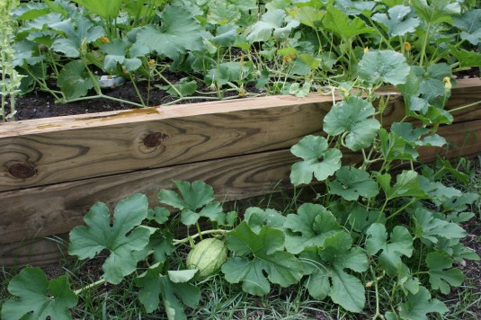 hanging outside planter box