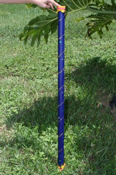 rainstick