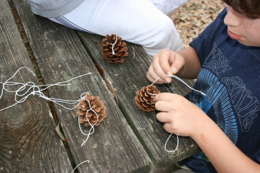 tying twine on pinecone