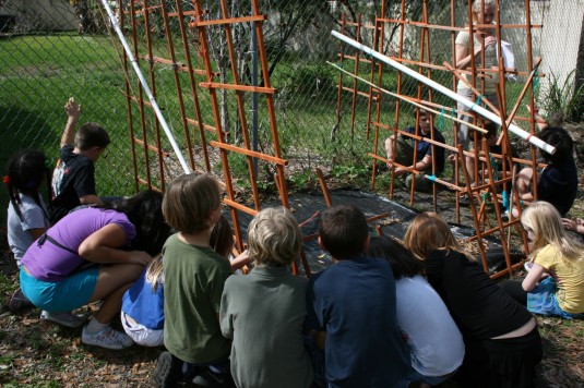 more bean fort planters
