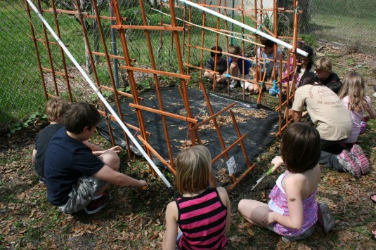planting beans around the fort
