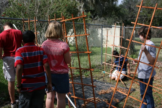 rebuilding our bean fort