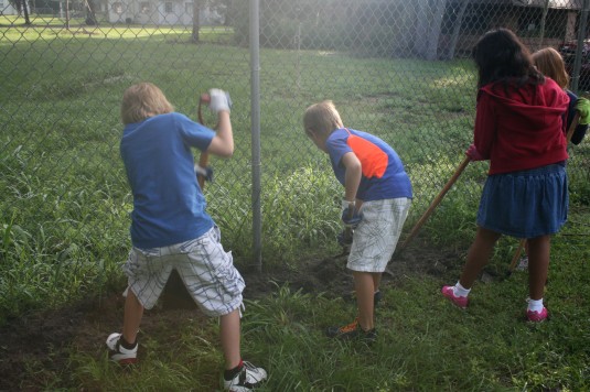 early morning worker bees