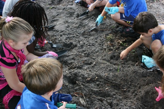 plopping in seeds