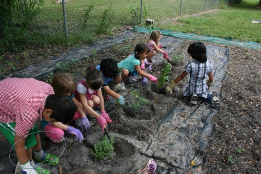 kindergarteners feeding worm poop to plants
