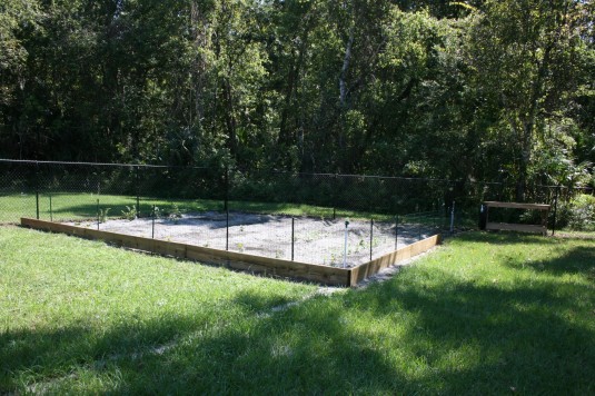 Justin and Eyry's garden