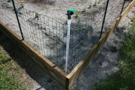 garden fence