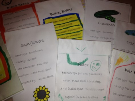 seed packet variety